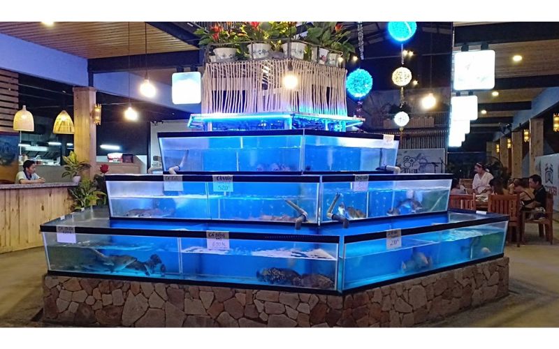 Ứng dụng thực tế của bể hải sản