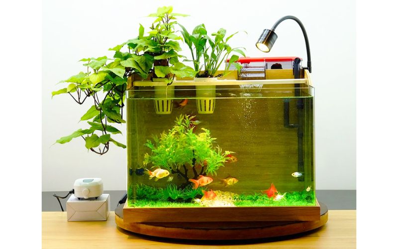 Cấu tạo các bộ phận hỗ trợ khác