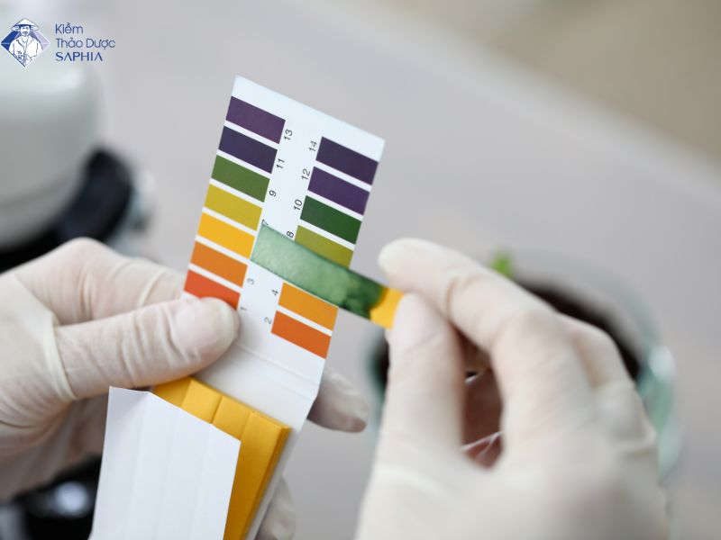 Vị của nước kiềm